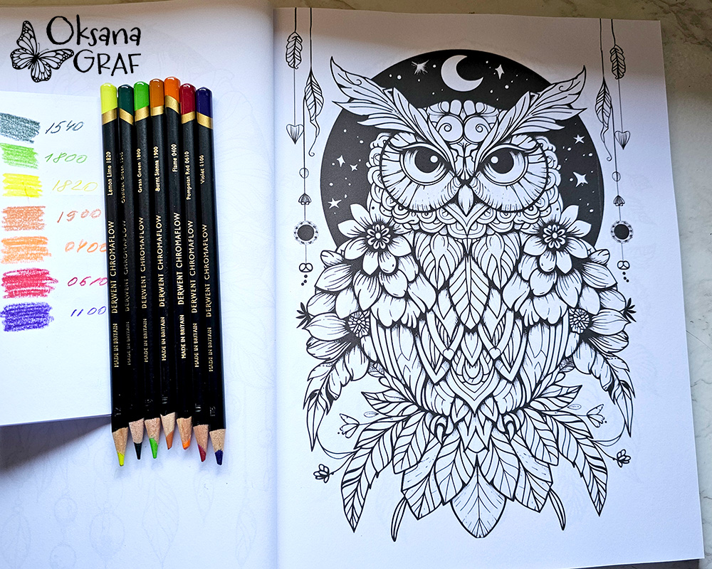 Eule tutorials für ausmalen von Malbuch mit Buntstiften derwent chromaflow